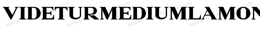 VideturMediumLamont Regular字体转换